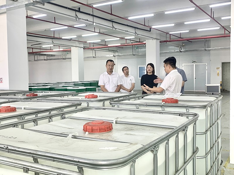 政企连心·共促发展|东莞市东城区政府领导莅临DG视讯新材参观指导